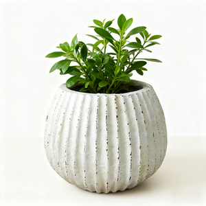 Vasi in Fibra di Argilla all'Ingrosso - Verniciatura Bianca per Orchidee e Piante Pothos da Interno - Product Image 3