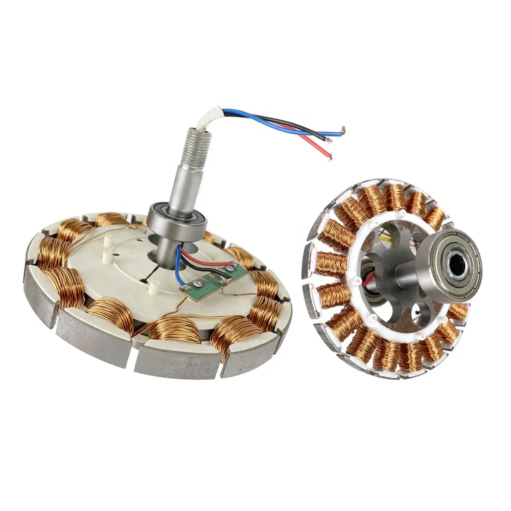 OEM/ODM mıknatıs kemikli halka Multipole yeni varış halka neodimyum enjeksiyon ferrit mıknatıs sıcak satış BLDC Ceilingfan Motor manyetik