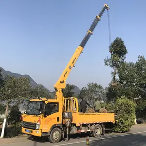 Mini mobil 5 ton teleskopik bomlu vinç en iyi fiyat ile ünlü marka dongfeng kamyon vinç monte