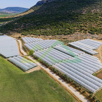 Grote enkellaagse multi-span PE polyfolie kasconstructie voor de productie van hoogproductieve groenten en bessen