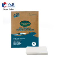 Bandes de lessive jetables biodégradables écologiques à faible mousse pour peaux sensibles, format solide