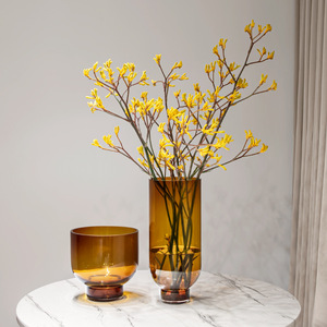 Vase en verre transparent de style côtier avec tube droit, arrangement simple haut de gamme marron pour salon ou hôtel - Product Image 3