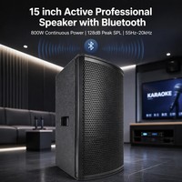 Système de sonorisation PA professionnel actif de 15 pouces, Bluetooth TWS, haut-parleur amplifié bi-amplifié avec DSP pour scène, concert, événement