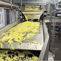 Halfautomatische installatie voor de verwerking van diepvriesfrieten en het maken van aardappelchips