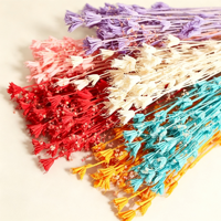 Bouquet de fleurs d'anis étoilé multicolores éternelles, fait main, longue durée (3-5 ans), idéal pour la maison, la Saint-Valentin