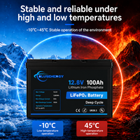 Batería Recargable LiFePO4 de 12V 100Ah para RV, Sistemas Solares Marinos, Motor de Arrastre, UPS, Almacenamiento de Energía, 5000 Ciclos de Vida Útil