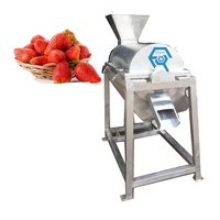 Commerciële Fruit Pulp Sap Making Machine Voor Oranje Perzik Ananas Watermeloen Druif Mango Citroen Aardbei
