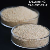 Youjian Vente en gros de L-Lysine monohydrochlorure CAS 657-27-2 L-Lysine HCL Ingrédient acide aminé pour la formulation d'aliments pour animaux