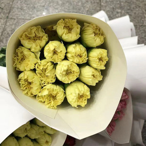 Cestas Colgantes Decorativas con Flores Naturales de Clavel Recién Cortadas - Más de 40 Colores, 60 cm de Largo, para el Día de la Madre, el Día de la Mujer, Bodas - Product Image 1