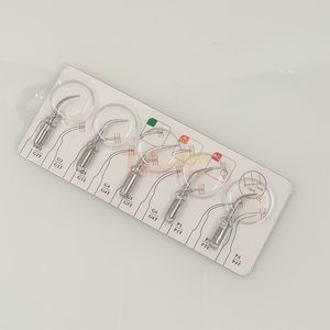 Puntas de escalador dental G1 G2 G3 G4 <span class=keywords><strong>P1</strong></span>, escalado ultrasónico, endodoncia, periodoncia, fábrica quirúrgica, envío gratis - Product Image 2