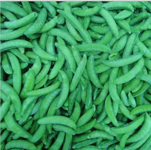 좋은 품질과 뜨거운 가격 IQF 냉동 녹색 콩
