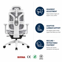 Chaise de bureau ergonomique du fabricant, vérin à gaz de classe 3 certifié antidéflagrant, accoudoirs, dossier en maille, assise en mousse, inclinable