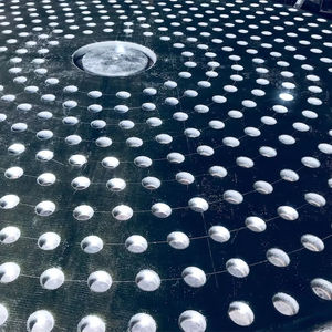 Disco de flores de alta presión 3.0MPa 316L Acero inoxidable Petroquímico Excelente soporte para equipos - Product Image 1