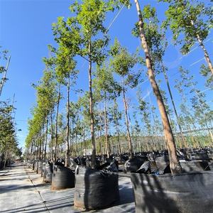 HOKBG directo de fábrica granja vivero maceta crecer bolsa árbol plántulas maceta para planta crecer bolsa jardín grande maceta para árbol - Product Image 3