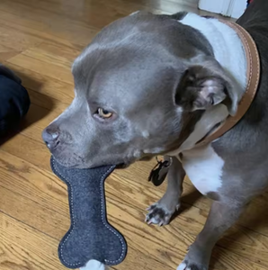 Jouets à mâcher pour chiens en feutre, en forme d'os, durables, écologiques et interactifs, pour le nettoyage des dents et la mastication des molaires - Product Image 5