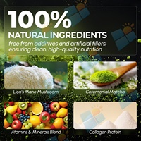 Poudre de thé matcha au collagène hydrolysé de marque privée avec extrait de champignons et vitamines, mélange de thé vert riche en protéines pour la peau