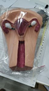 Model pelatihan kontrasepsi dalam rahim wanita untuk sains medis - Product Image 5