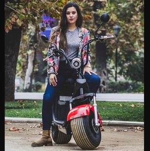 Patinete eléctrico estándar de bajo costo, patinete eléctrico clásico, patinete plegable con batería, 8,5 pulgadas, 250 <span class=keywords><strong>W</strong></span> para adultos - Product Image 6