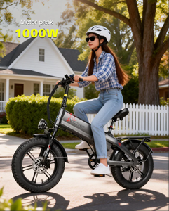 Vélo électrique pliable de livraison et de transport City Electric Biek 48V 55Ah avec batterie au lithium, entrepôt UE Brésil - Product Image 5