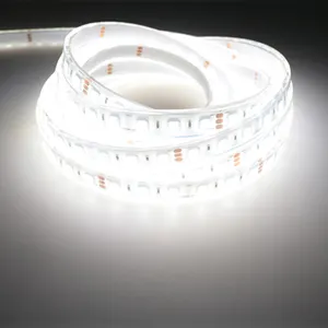 Toptan led şerit 2 rolls-Toptan 3000k 5m bir rulo 12V LED esnek şerit ışık SMD 5050 CCT ayarlanabilir 2 In 1 çip çift renk kısılabilir