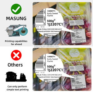 Masung MS-LP212A máy in nhãn nhiệt 2 inch Tự động cắt cuộn loại mã vạch in vé cho siêu thị Sticker kho - Product Image 6