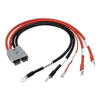 Harnais de câblage de batterie en cuivre étamé personnalisé, connecteurs XT90/XT60, plusieurs options de calibre pour les systèmes électroniques automobiles