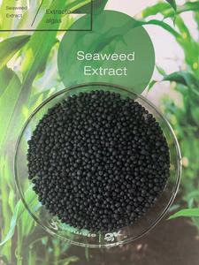 <span class=keywords><strong>Abono</strong></span> orgánico de algas marinas, npk, aminoácido humico - Product Image 2