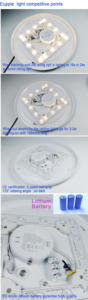 Bon vendeur! <span class=keywords><strong>Plafonnier</strong></span> <span class=keywords><strong>led</strong></span> rechargeable en aluminium de haute qualité avec <span class=keywords><strong>batterie</strong></span> pour balcon - Product Image 3