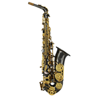 Superior Quality Woodwind Instrument EB Tone Alto Saxophone with Brass Body Performance Use