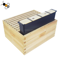 Alimentador de abeja con tapa de madera, marco de colmena negra de plástico de 6.5L
