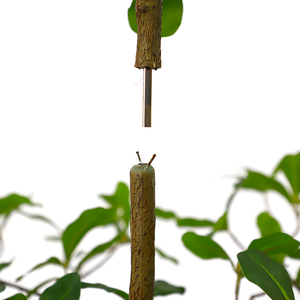 Árbol Artificial de Terminalia Mantaly de Plástico, Resistente a los Rayos UV, Ecológico, Ignífugo, Altura Personalizable, Moderno, para Interiores y Exteriores - Product Image 6
