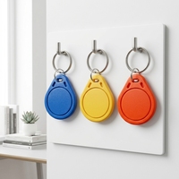 Porte-clés RFID programmable 125 kHz, jetons PVC pour systèmes d'entrée intelligents