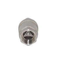 Clapet anti-retour à ressort en acier inoxydable 304SS pour eau, huile, vapeur, 3/4 pouces, haute température
