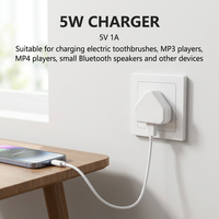 Charger Dinding Cantell Berkualitas Tinggi UK 3Pin 5V 1A USB 2.0 5W dengan Proteksi Sirkuit Pendek untuk Sikat Gigi Elektrik, Pemutar MP3/MP4