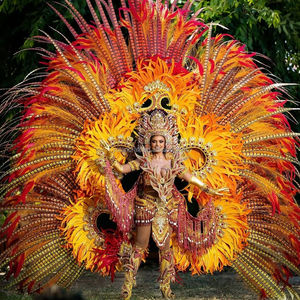 Kualitas tinggi 25-45 inci grosir bulu wanita Zebra bulu Burung Pegar untuk gaun Festival karnaval kostum Ance
