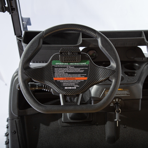 4-Personen 48V/72V Elektrischer Golfwagen mit Hubfunktion <span class=keywords><strong>Gel</strong></span>ändebuggy mit Lithium-Batterie 4kW Motor 8-40 km/h - Product Image 4