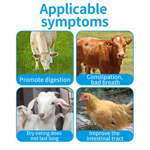 ผงโซเดียมบูสเตอร์เพิ่มน้ำหนักอาหารเสริมเอนไซม์เกรดอาหารสัตว์ปีก - Product Image 2