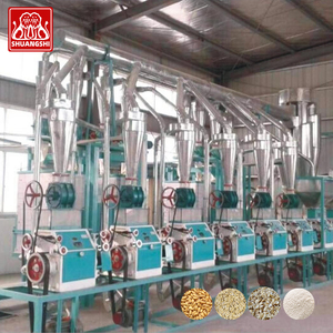 Moulin à farine de blé dur et semoule électrique de 30 tonnes par jour, machine à moudre le maïs, à vendre en Afrique du Sud - Product Image 2