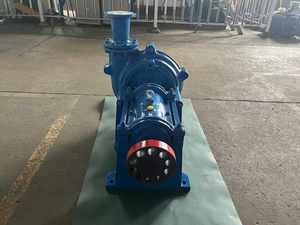 Bomba Centrífuga Horizontal de Alta Calidad para Lodos de Cal, de Uso Industrial Medio, con Aleación de Cromo y Revestimiento de Goma - Product Image 2