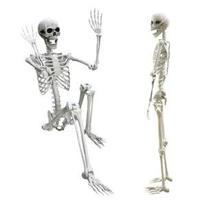 Wholesale Customized Halloween Decoration Haunted House Large Full Size Movable Giant Human Halloween Skeleton For Sale