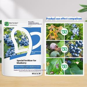 Fertilizante orgánico para fertilizante de arándanos para promover la floración y fructificación Fertilizante compuesto para aumentar el rendimiento - Product Image 4