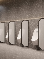 Cloison d'urinoir en acier inoxydable pour toilettes publiques scolaires pour hommes, design en verre à bande longue, séparateur de cabine personnalisable