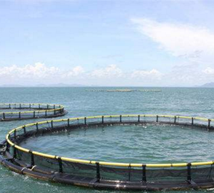 Cage piscicole circulaire HDPE anti-tempête PE piège d'aquaculture en haute mer pour truite - Product Image 3