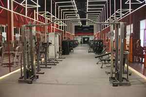 Bm điều chỉnh chéo, thiết bị thể Dục Mới phổ biến hiện nay trong phòng tập thể dục, được cung cấp trực tiếp bởi nhà máy nguồn. - Product Image 2