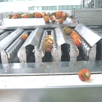Sus 304/316 Hoge Kwaliteit Complete Ananas Verwerkingslijn Aangepaste Ananas Productie Plant Apparatuur Voor Fruit Industrie