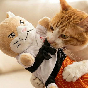 Gant de combat interactif pour chat avec manchon de protection pour le bras, jouet marionnette pour un jeu sûr avec les chatons et les chats adultes - Product Image 5