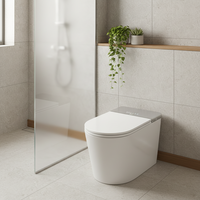 S016 WC intelligent monobloc en céramique, à poser au sol, avec siphon en S allongé et télécommande