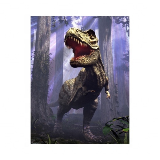 Real Factory Plastic Lenticular Sheet Cartoon Pattern 3D Lenticular Picture Photo Wall Poster Printing
