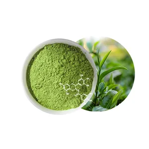 Polvo de Matcha de té verde más saludable de grado premium con beneficios generales para la salud y la función inmunológica