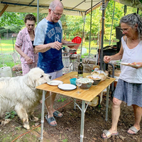 Table de camping pliante en bambou robuste et moderne avec hauteur réglable, design léger et portable pour une utilisation en extérieur
